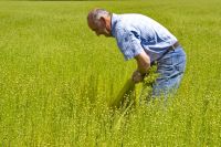 Festival du lin 2016